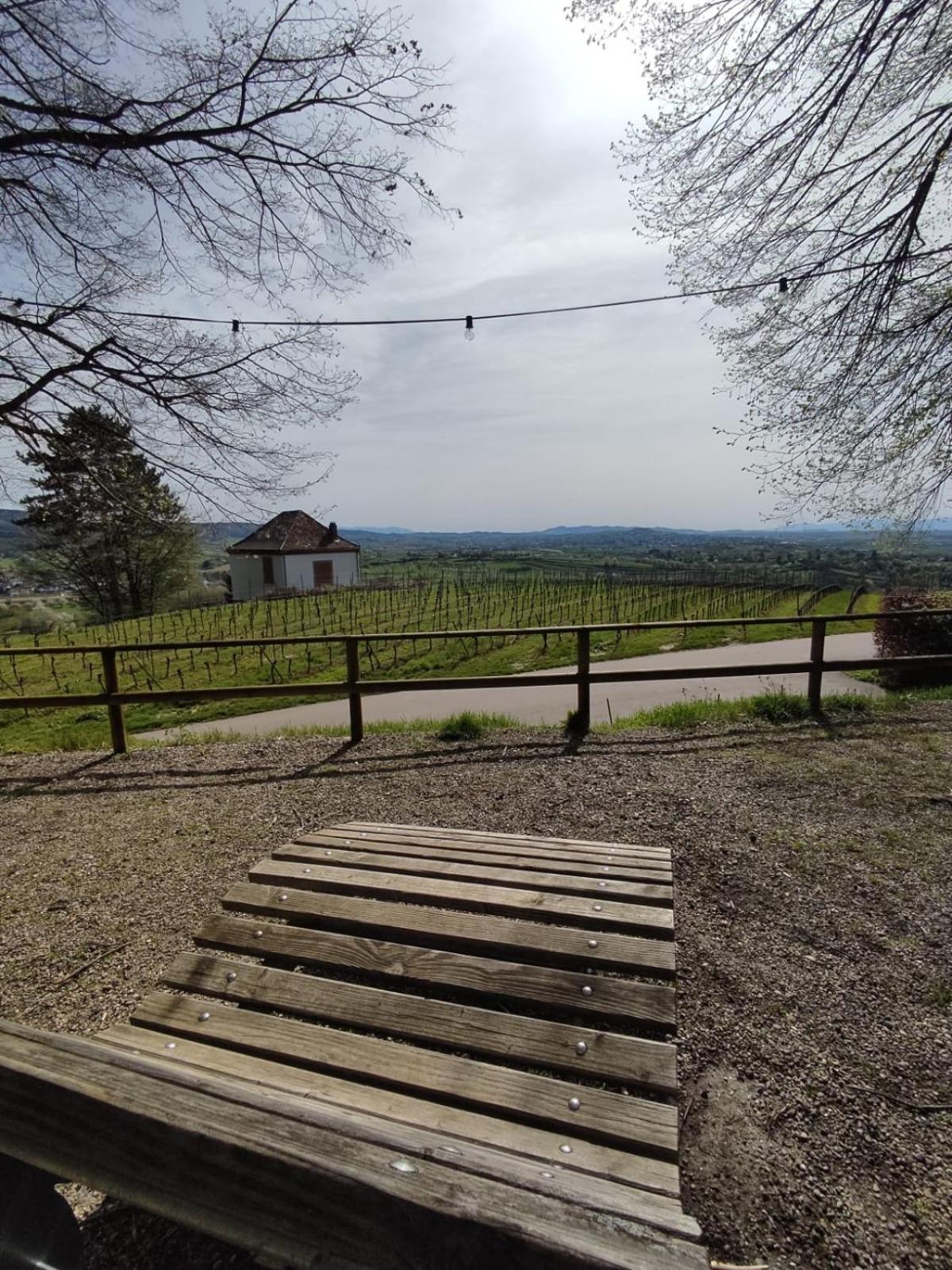 Appartement Sulzbachtal In Lahr, Naehe Europapark, Naehe Rulantica Lahr/Schwarzwald Kültér fotó